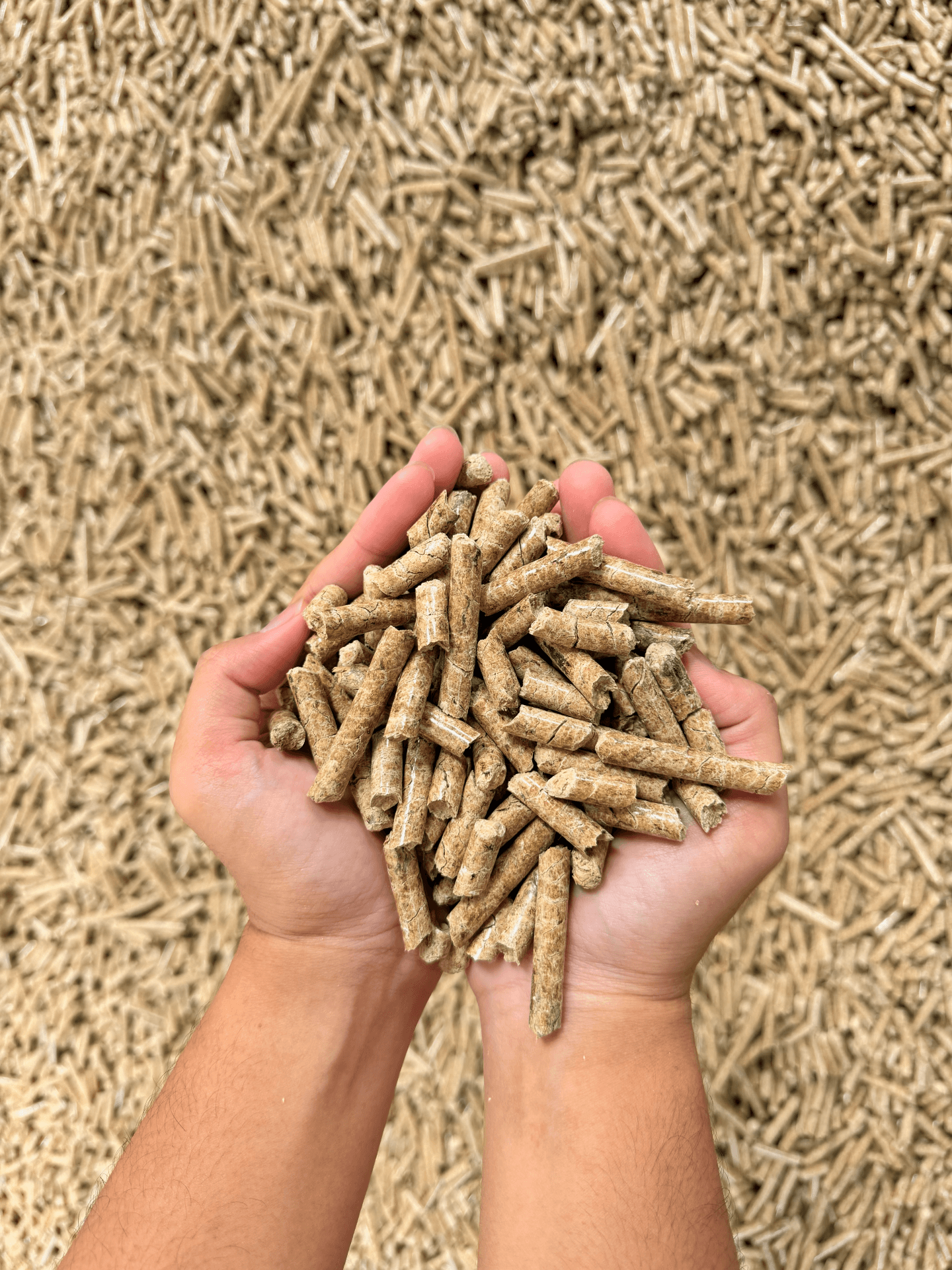 Rice Husk Pellet