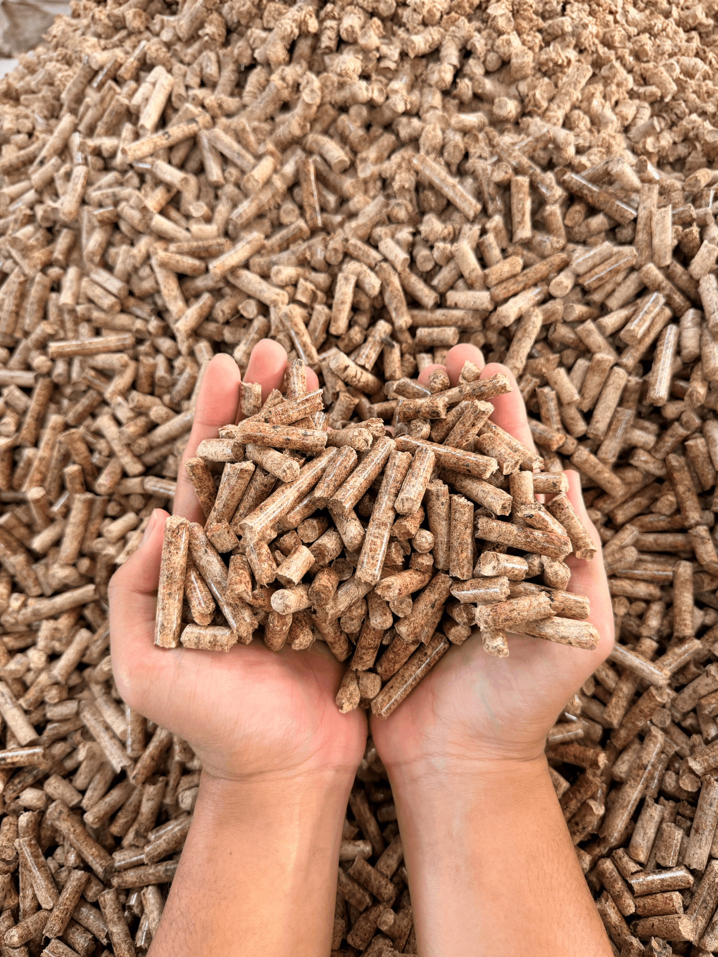 Wood Pellet